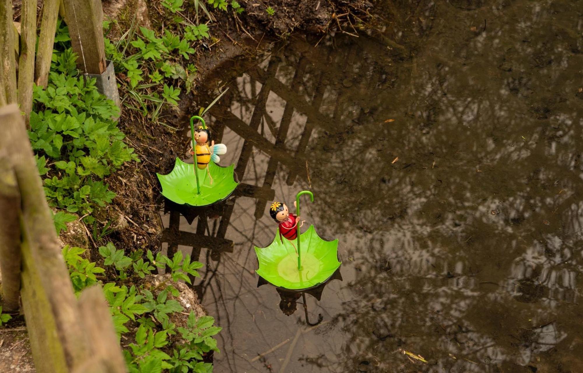 Appartamento Au Ruisseau De Belle Isle Echinghen Esterno foto